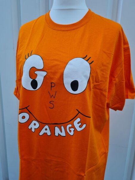 Go Orange T-Shirt | Children's Sizes | PWS Awareness Month - Image 2