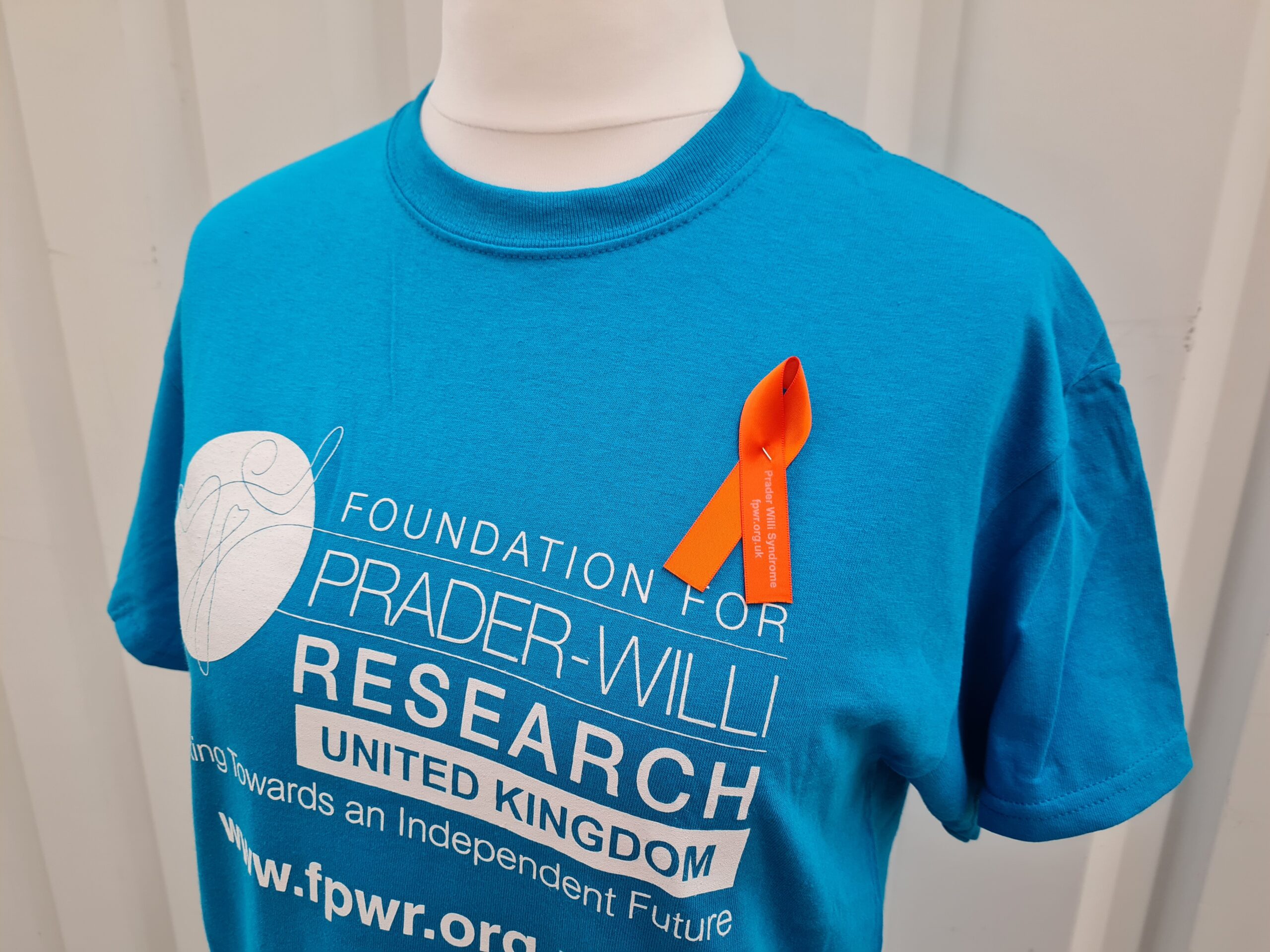 Go Orange Awareness Ribbon | Single Ribbon or Multipacks - Image 2